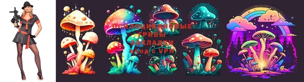 прущая мука Бронницы