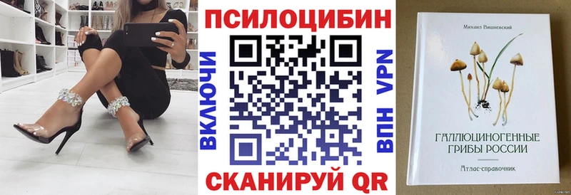 Купить закладки  Вязьма  Псилоцибиновые грибы GOLDEN TEACHER 